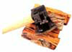 MOTHER EARTH NEWS Green Gift Giving Ideas Image